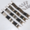 Kit plaquettes, R16 – Image 2